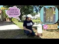 How to cover up ugly electric cable meter and utility boxes in your yard