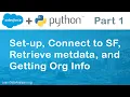 Salesforce API in Python Getting Started with Simple Salesforce library