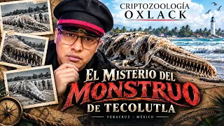 El Monstruo de Tecolutla: investigué el misterio que desconcertó a México
