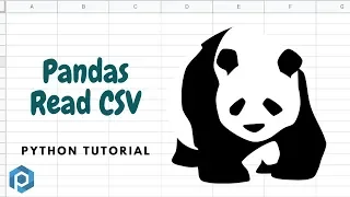 Python Read CSV in Pandas