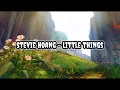 Download Lagu Stevie Hoang - Little Things | Lirik | Lyrics | Terjemahan Indo