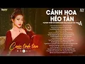 Download Lagu Cánh Hoa Héo Tàn Cuộc Tình Tan... | Tuyển Tập Nhạc Ballad Buồn Tâm Trạng | Lâu Phai Chill