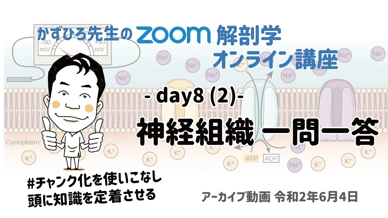zoom解剖学 day8(2) 神経組織 一問一答 夜