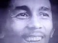Bob Marley And The Wailers Zion Train Live Video