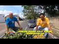 Download Lagu Bananenschil-Aci met vuurwerkkruiden | THE BALD'S TRAIL (20-06-2025)