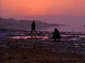 Sepultura - Territory [OFFICIAL VIDEO]