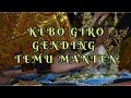 KEBO GIRO GENDING TEMU MANTEN