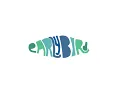 bombay bicycle club - always like this