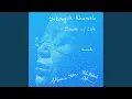 Download Lagu Evening Song