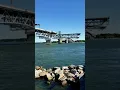 Coleman Bridge Opening