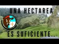 UNA HECTAREA ES SUFICIENTE
