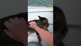 Day 72 living on a sailboat. Life on anchor ⚓️ #dayinthelife #travelvlog