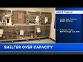 ACCT Philly over capacity offering 10 adoptions and gift cards to fosters