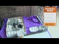 500 pets find homes during Texas adoption event