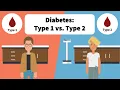 Understanding Diabetes Type 1 vs Type 2 Explained MedAnimations