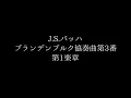 J.S.バッハ: ブランデンブルク協奏曲第3番：第1楽章［ナクソス・クラシック・キュレーション #元気］