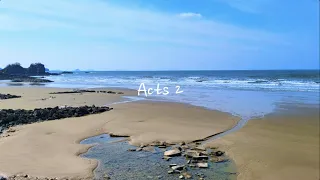Acts 2 - NIV BIBLE TEXT