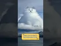 Create cloud art Artist adailycloud
