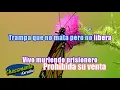 Maná ft alejandro Fernandez- Mariposa Traicionera Karaoke