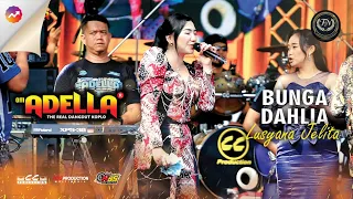 lusyana jelita bunga dahlia om adella live sumur batu bekasi