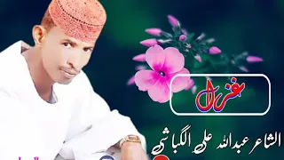 الشاعر عبدالله علي الكباشي غزل 