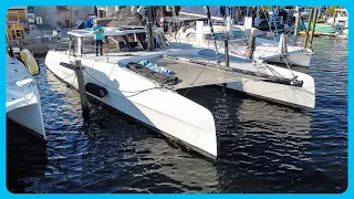 My FAVORITE Cat That I’ve Toured So Far [Full Tour] Learning the Lines