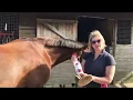 How to do Quarter Marks with Julie Judge