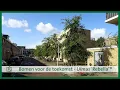 Lagu Bomen voor de toekomst - Ulmus 'Rebella'®