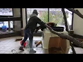 When Red Panda Cubs Attack