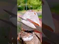 Download Lagu VIRAL TikTok orange 😳 #shorts