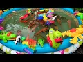 Mancing Ikan Hias Dikolam, Ikan Mas, Ikan Koi, Lobster, Bebek, Buaya, Harimau, Dinosaurus Part6