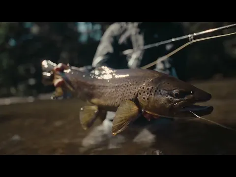 AFTER YOU'VE GONE Trailer- Official Selection: 2023 Rise Fly Fishing Film Tour