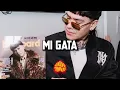 Mi Gata - Junior H, Gael Valenzuela // TUMBADOS MIX 2026