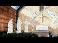 Live Broadcast Knock Basilica