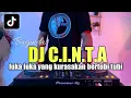 Download Lagu DJ FOR LESTI LUKA LUKA REMIX C.I.N.T.A LUKA LUKA YANG KURASAKAN