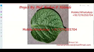 Python Code for Potato Leaf Disease Using Neural Network CNN With Source Code