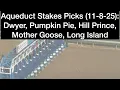 Aqueduct 2025 Stakes Picks Mother Goose Hill Prince Long Island Dwyer Pumpkin Pie