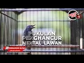 Download Lagu 🔴Srigunting Abu Abu Gacor Panjang Bongkar Isian Mewah❗️