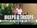 LATIHAN BICEPS \u0026 TRICEPS DI RUMAH DALAM 10 MENIT
