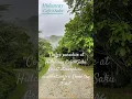 Download Lagu Cafe : Hideaway
