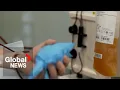 Parliament probes Grifols Canadian Blood Services deal after 2 plasma donors die