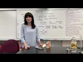 Buffer Lab