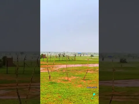 خريف 2025