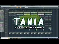 Download Lagu DJ MALELE MALE MAMAYO (TANIA) MASHUP FULL BASS TERBARU 2023