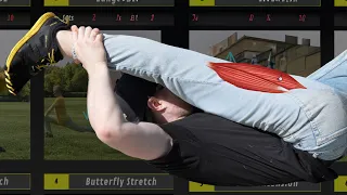 Literally 5 Stretches is all you Need