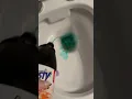 Download Lagu Dasty WC gel ontkalker is perfect om die bruine vlekken uit de wc-pot te krijgen Download Lagu Dasty WC gel ontkalker is perfect om die bruine vlekken uit de wc-pot te krijgen