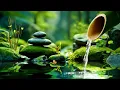 Download Lagu Música Relajante Anti Estres Para Calmar La Mente - Música Para Reducir La Ansiedad