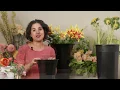 Download Lagu Choosing the Right Flower Buckets for Your Flowers