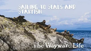 Sailing to the Sunshine Coast | Chapter 2 Episode 13 | The Wayward Life