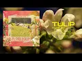 Download Lagu RahZhi Phi - Tulip